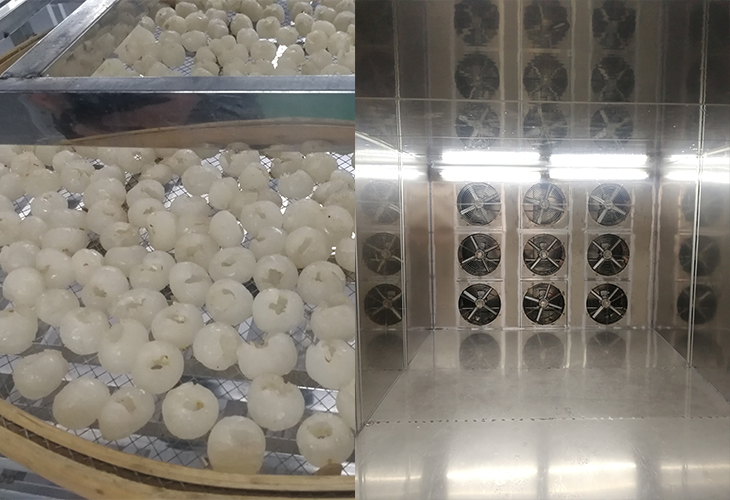 龍眼烘干機(jī) 龍眼烘干機(jī)