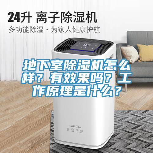 地下室除濕機(jī)怎么樣？有效果嗎？工作原理是什么？