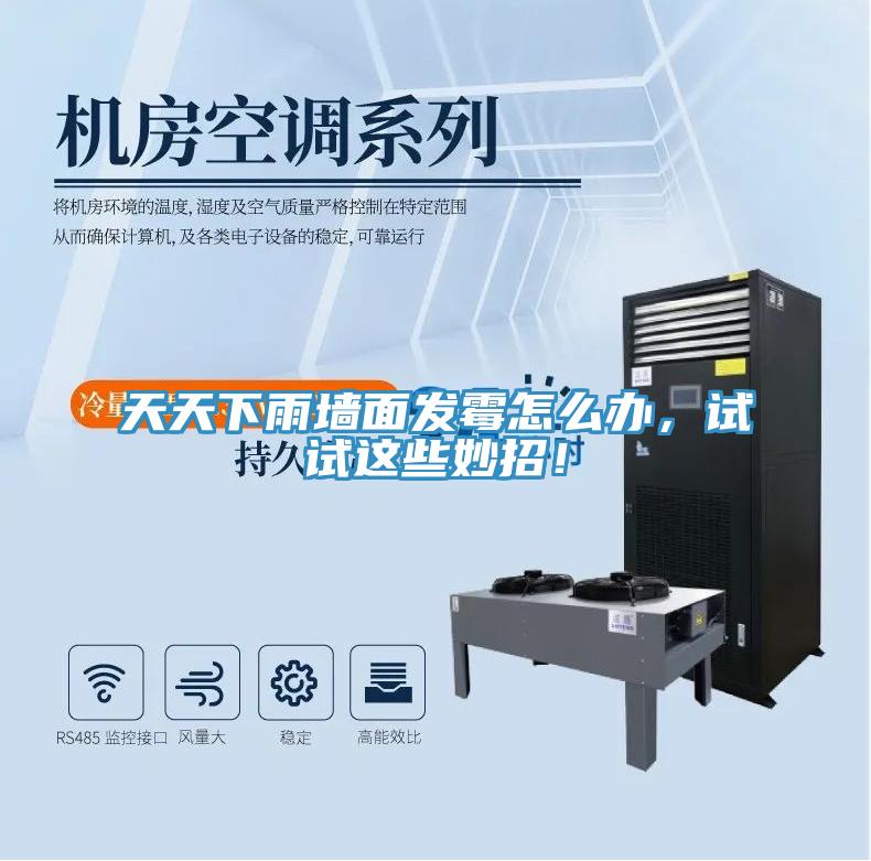 天天下雨墻面發霉怎么辦，試試這些妙招！