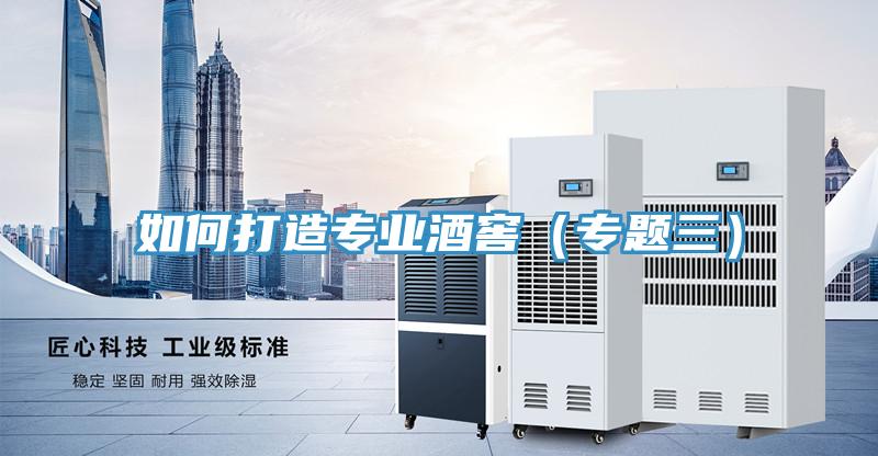 如何打造專業(yè)酒窖(專題三)