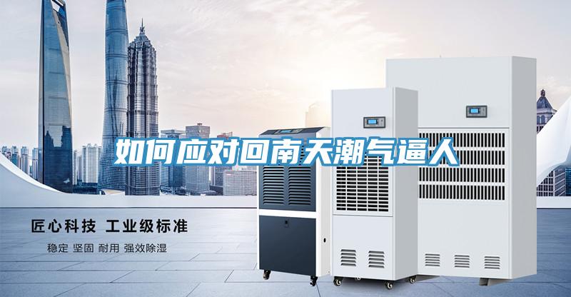 如何應(yīng)對(duì)回南天潮氣逼人