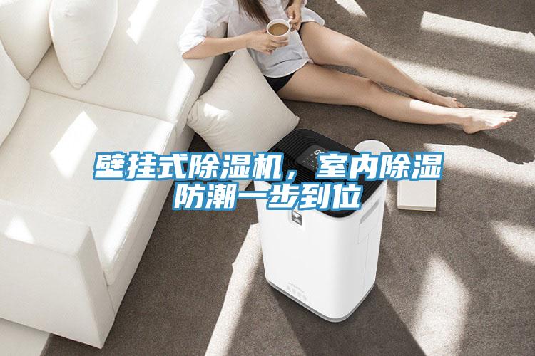壁掛式除濕機(jī)，室內(nèi)除濕防潮一步到位