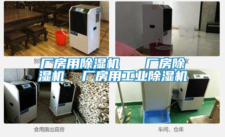 廠房用除濕機 廠房除濕機 廠房用工業除濕機