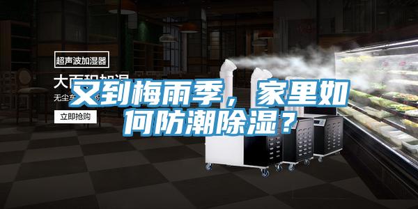 又到梅雨季,家里如何防潮除濕?