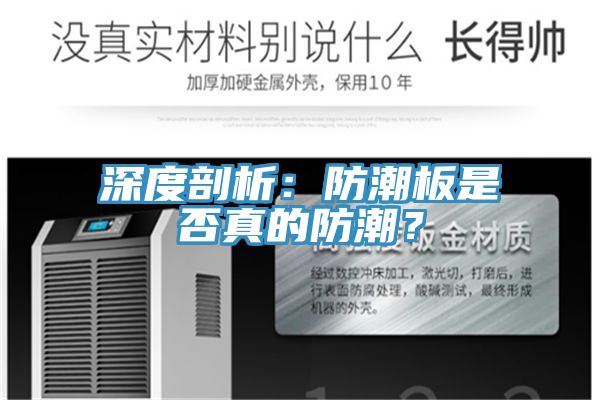 深度剖析：防潮板是否真的防潮？