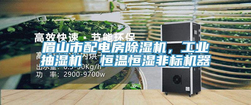眉山市配電房除濕機，工業抽濕機  恒溫恒濕非標機器