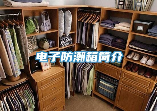 電子防潮箱簡介