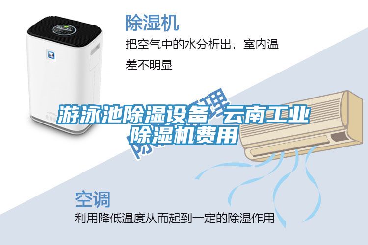 游泳池除濕設(shè)備 云南工業(yè)除濕機(jī)費用