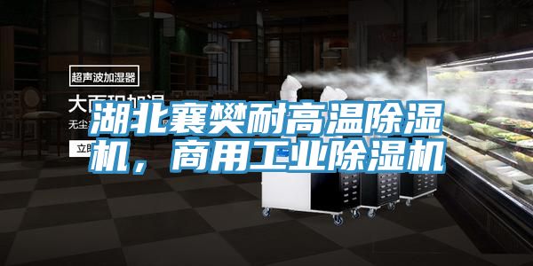 湖北襄樊耐高溫除濕機，商用工業除濕機