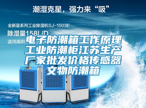 電子防潮箱工作原理工業(yè)防潮柜江蘇生產(chǎn)廠家批發(fā)價(jià)格傳感器文物防潮箱