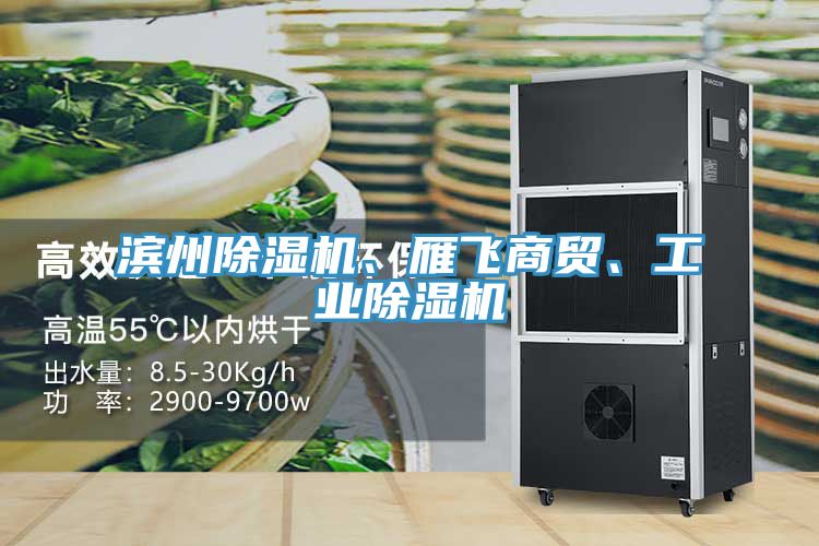 濱州除濕機(jī)、雁飛商貿(mào)、工業(yè)除濕機(jī)