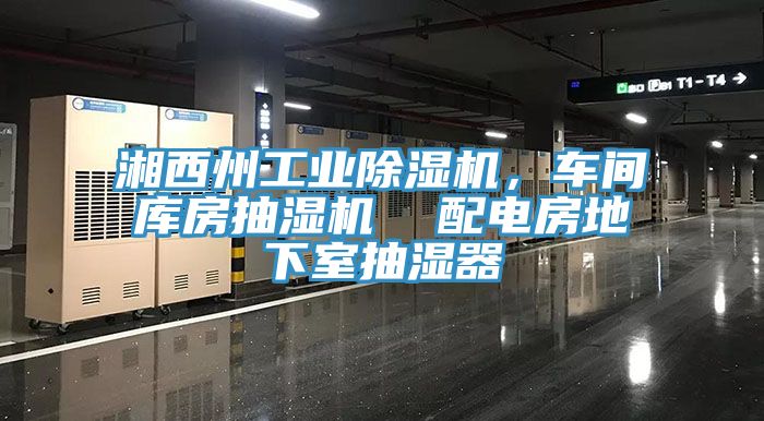 湘西州工業(yè)除濕機(jī)，車(chē)間庫(kù)房抽濕機(jī)  配電房地下室抽濕器