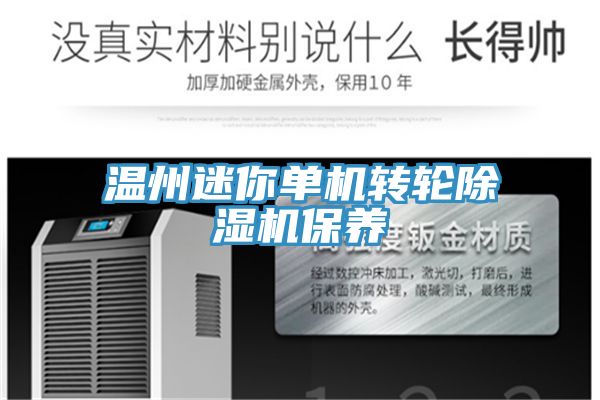 溫州迷你單機(jī)轉(zhuǎn)輪除濕機(jī)保養(yǎng)