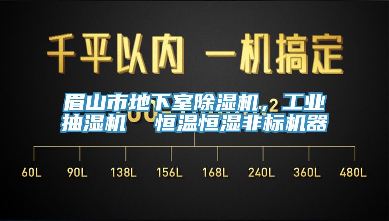眉山市地下室除濕機，工業抽濕機  恒溫恒濕非標機器