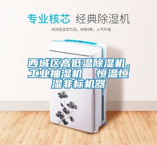 西城區(qū)高低溫除濕機，工業(yè)抽濕機  恒溫恒濕非標機器