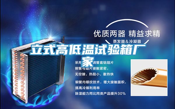 立式高低溫試驗箱廠家