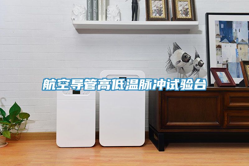 航空導管高低溫脈沖試驗臺