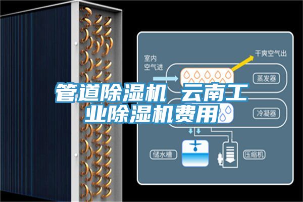 管道除濕機 云南工業除濕機費用