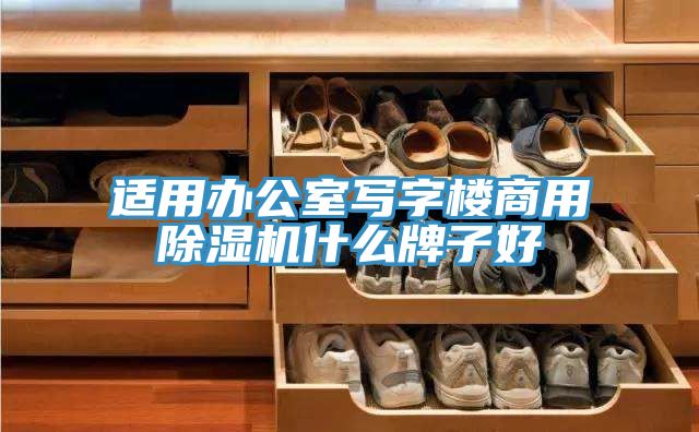 適用辦公室寫字樓商用除濕機(jī)什么牌子好