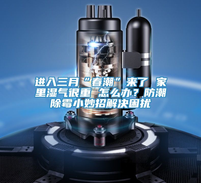 進入三月“春潮”來了 家里濕氣很重 怎么辦？防潮除霉小妙招解決困擾