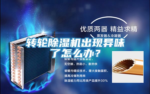 轉(zhuǎn)輪除濕機(jī)出現(xiàn)異味了怎么辦？