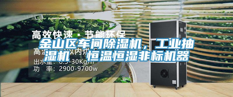 金山區(qū)車(chē)間除濕機(jī)，工業(yè)抽濕機(jī)  恒溫恒濕非標(biāo)機(jī)器