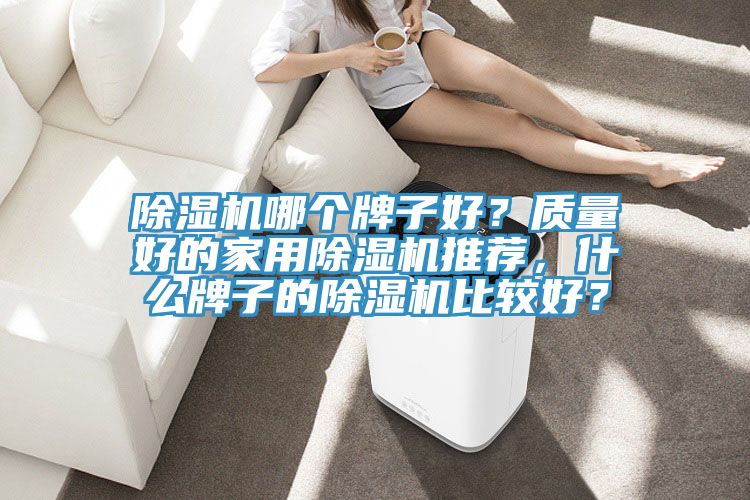 除濕機哪個牌子好？質量好的家用除濕機推薦，什么牌子的除濕機比較好？