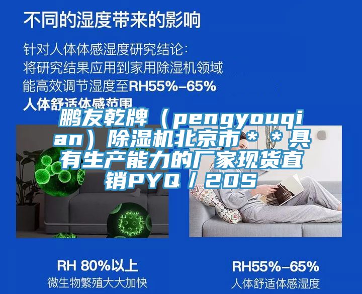 鵬友乾牌(pengyouqian)除濕機北京市**具有生產能力的廠家現貨直銷PYQ/20S