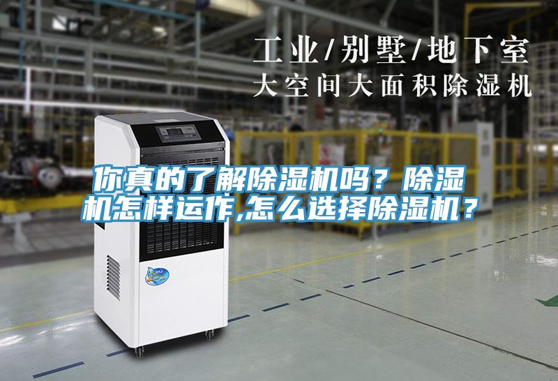 你真的了解除濕機(jī)嗎？除濕機(jī)怎樣運(yùn)作,怎么選擇除濕機(jī)？